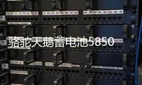 骆驼天鹅蓄电池58500免维护12V48AH五菱之光荣光原装汽车电瓶
